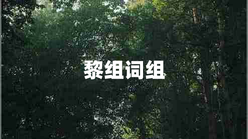 黎組詞組