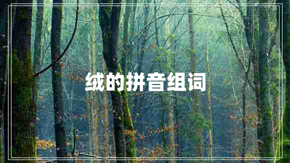 絨的拼音組詞