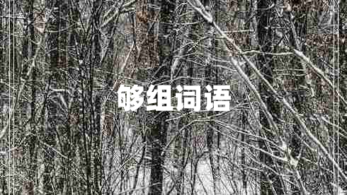 夠組詞語(yǔ)