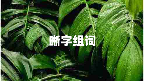 晰字組詞