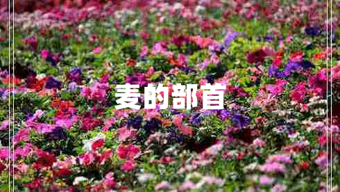 麥的部首