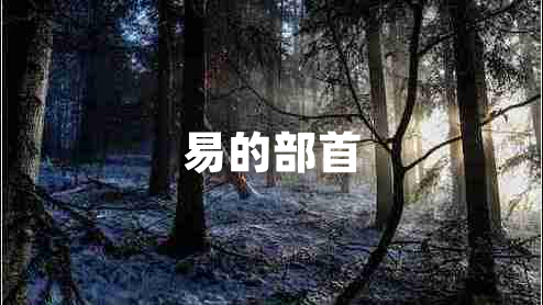 易的部首