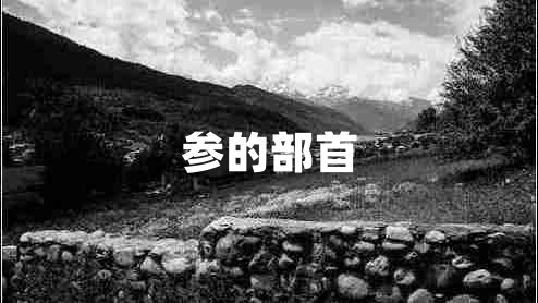 參的部首