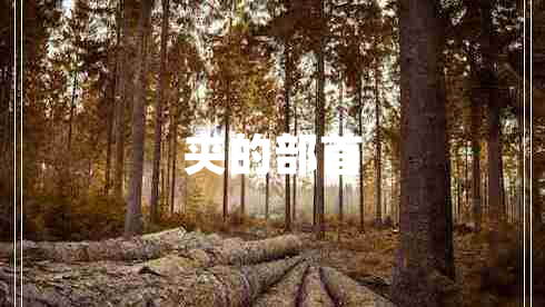 夾的部首