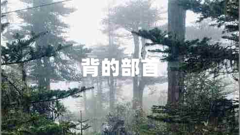 背的部首