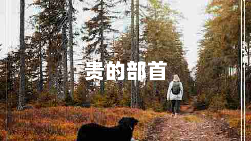 貴的部首