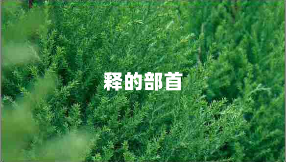釋的部首