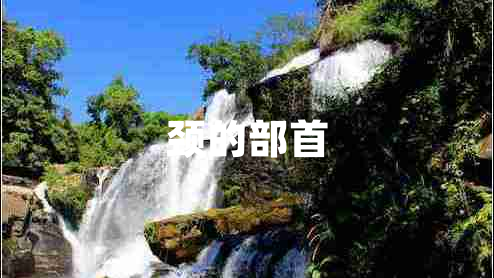 頸的部首