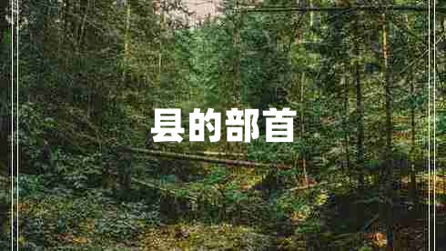 縣的部首