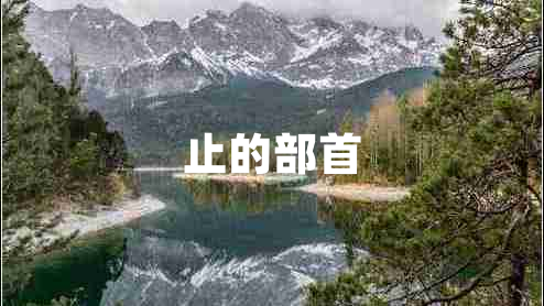 止的部首