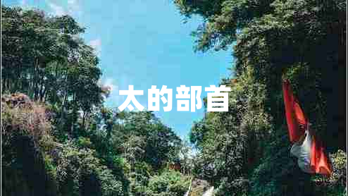 太的部首