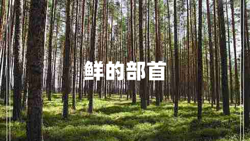 鮮的部首