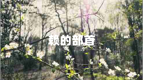賴(lài)的部首