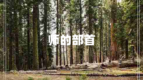 師的部首
