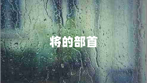 將的部首