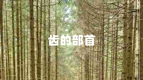 齒的部首