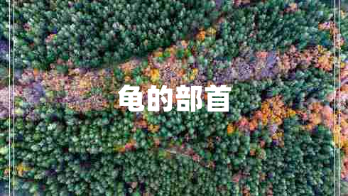 龜的部首