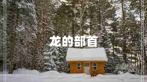 龍的部首
