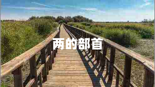兩的部首