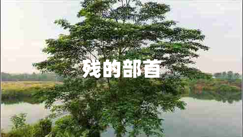 殘的部首