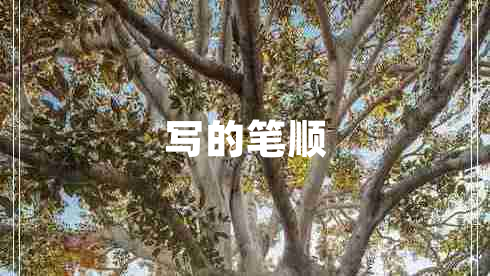 寫(xiě)的筆順