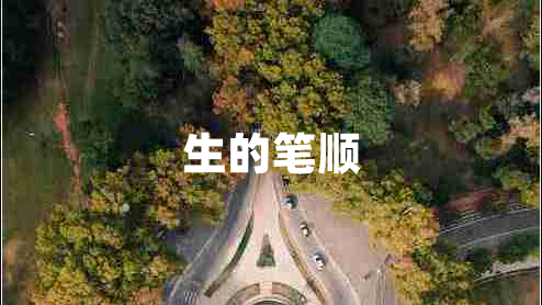 生的筆順