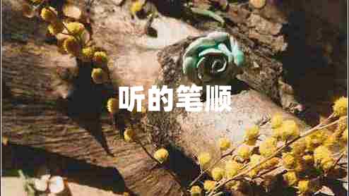 聽(tīng)的筆順