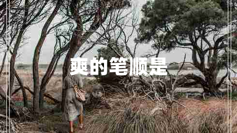 爽的筆順是