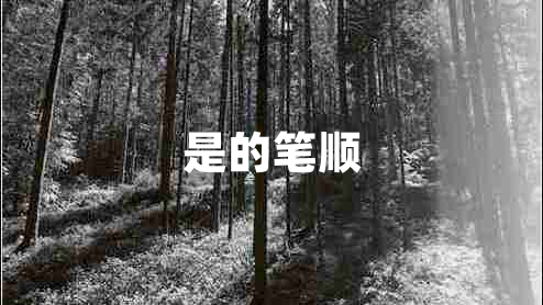 是的筆順
