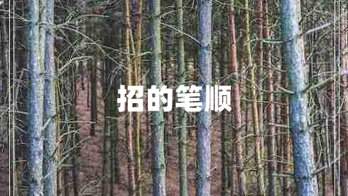 招的筆順