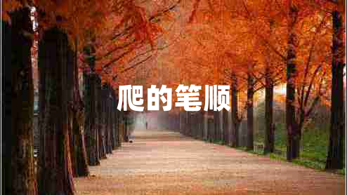 爬的筆順