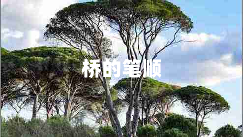 橋的筆順