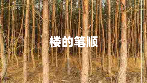 樓的筆順