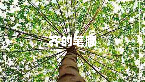 齊的筆順