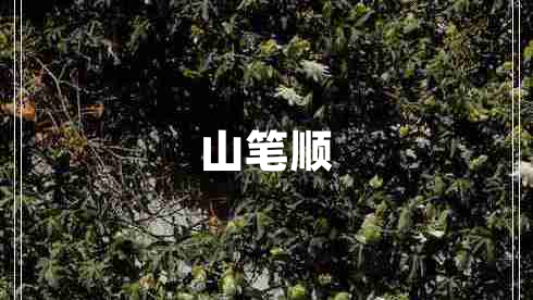 山筆順