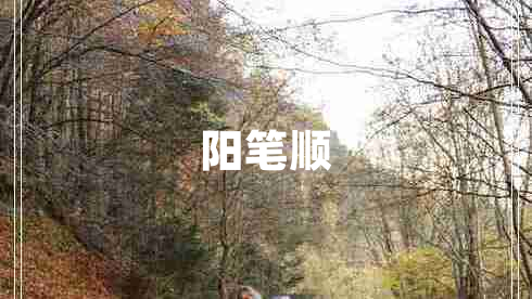 陽(yáng)筆順