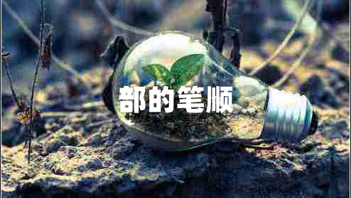 部的筆順
