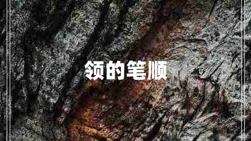 領(lǐng)的筆順