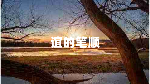 誼的筆順