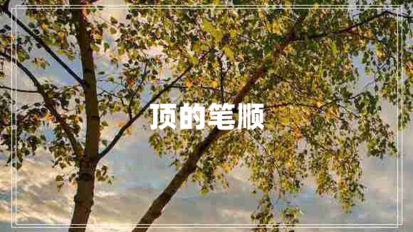 頂的筆順