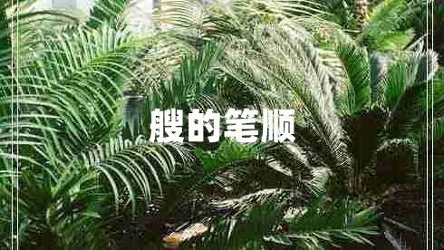 艘的筆順