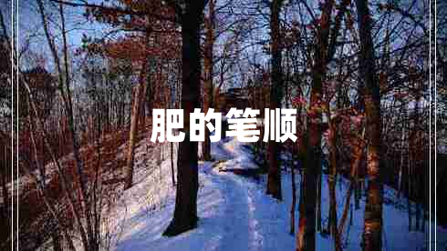 肥的筆順