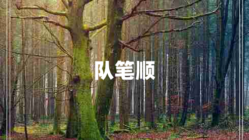 隊筆順