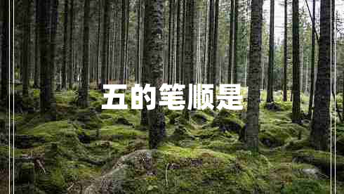 五的筆順是