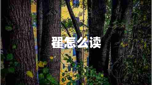 翟怎么讀