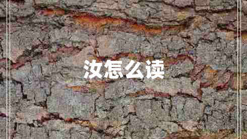汝怎么讀