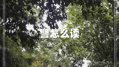 譬怎么讀
