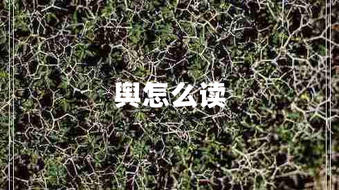 輿怎么讀