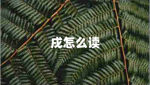 戌怎么讀