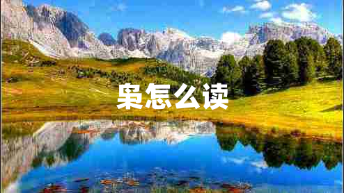 梟怎么讀